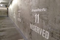 Custom Line Painting