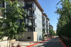 Residential Line Painting